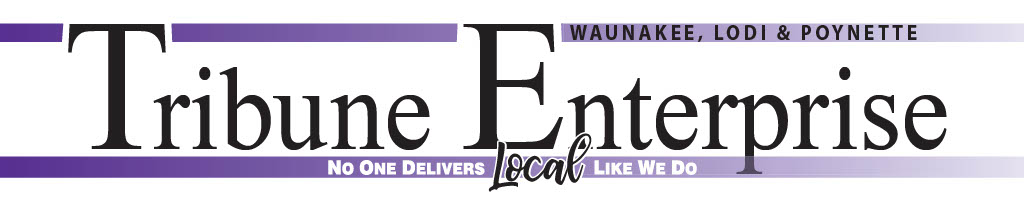 waunakee logo